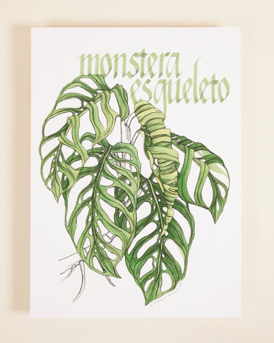 Ausstellung Monstera Esqueleto Poster