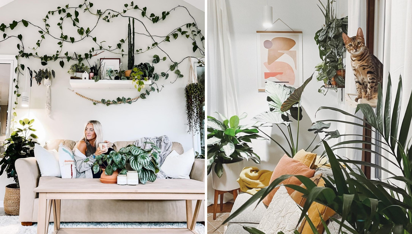 Grow lights as recommended by house plant enthusiasts — Green Rooms Market