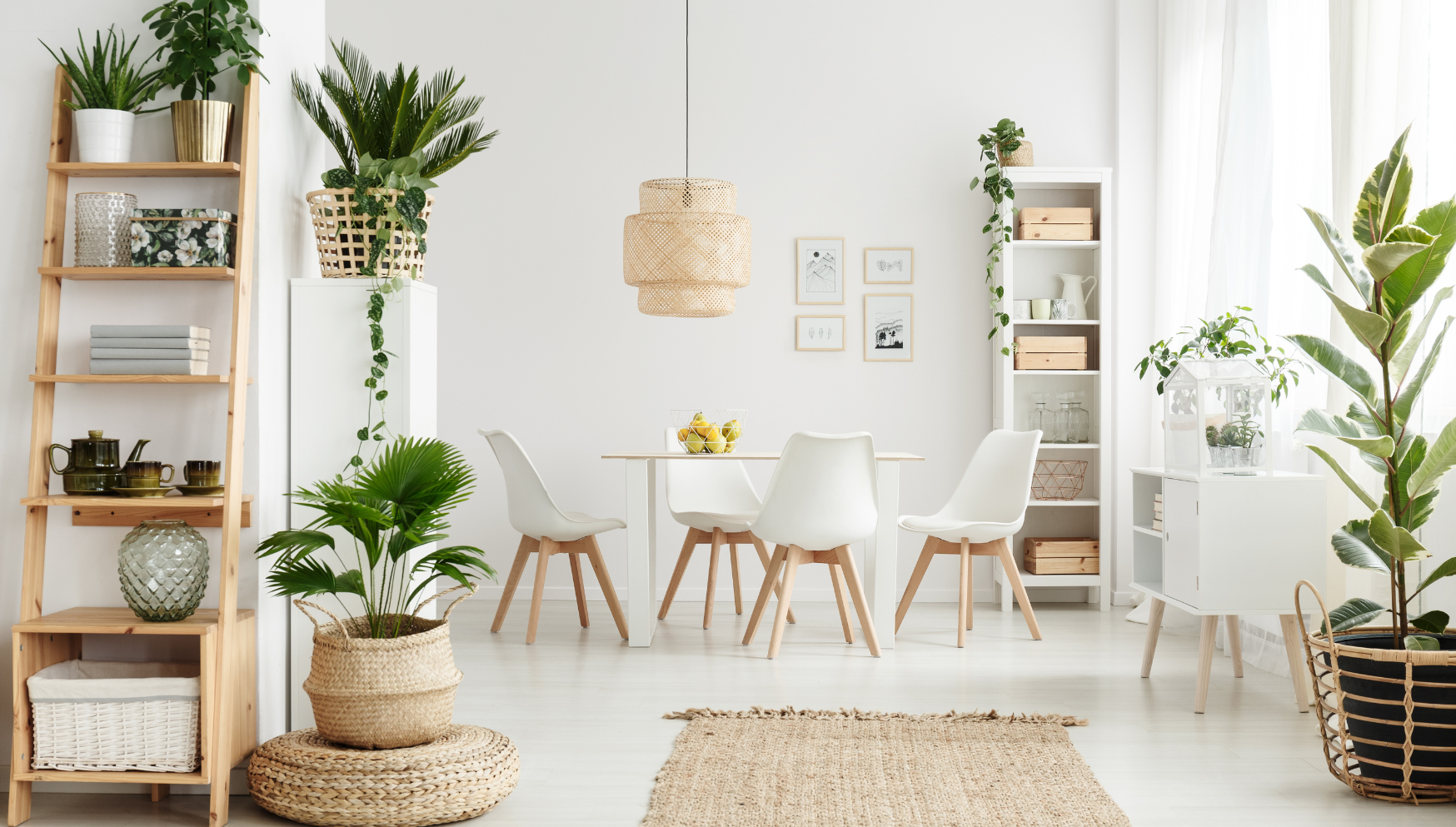 Decorating with houseplants to match your Scandinavian interior ...