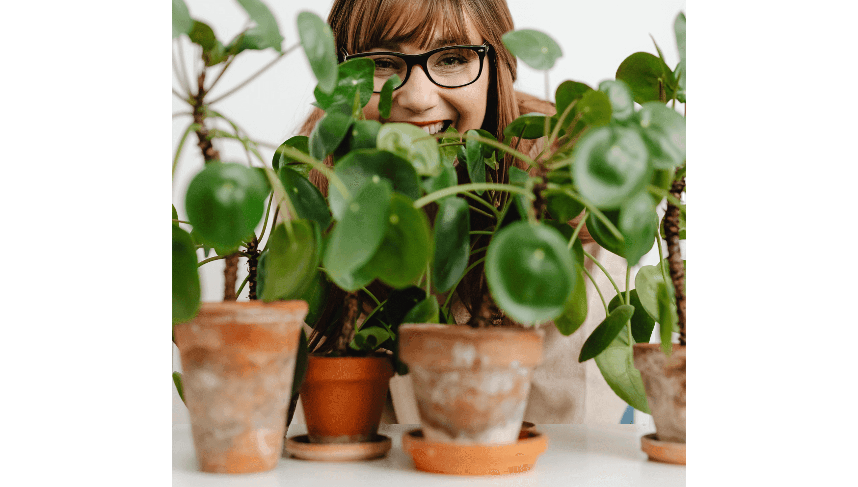 Reuse plant pots