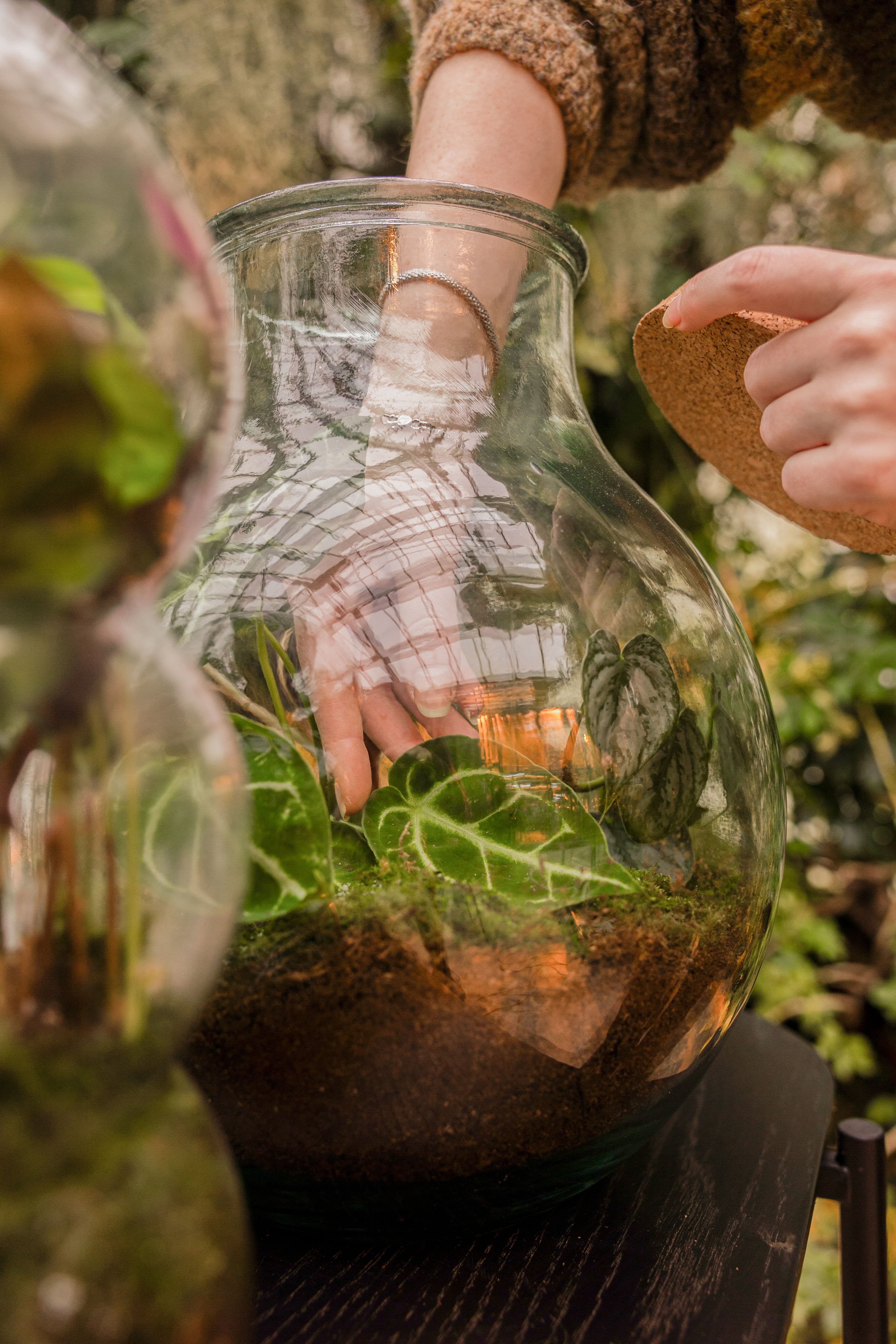 Terrarium2