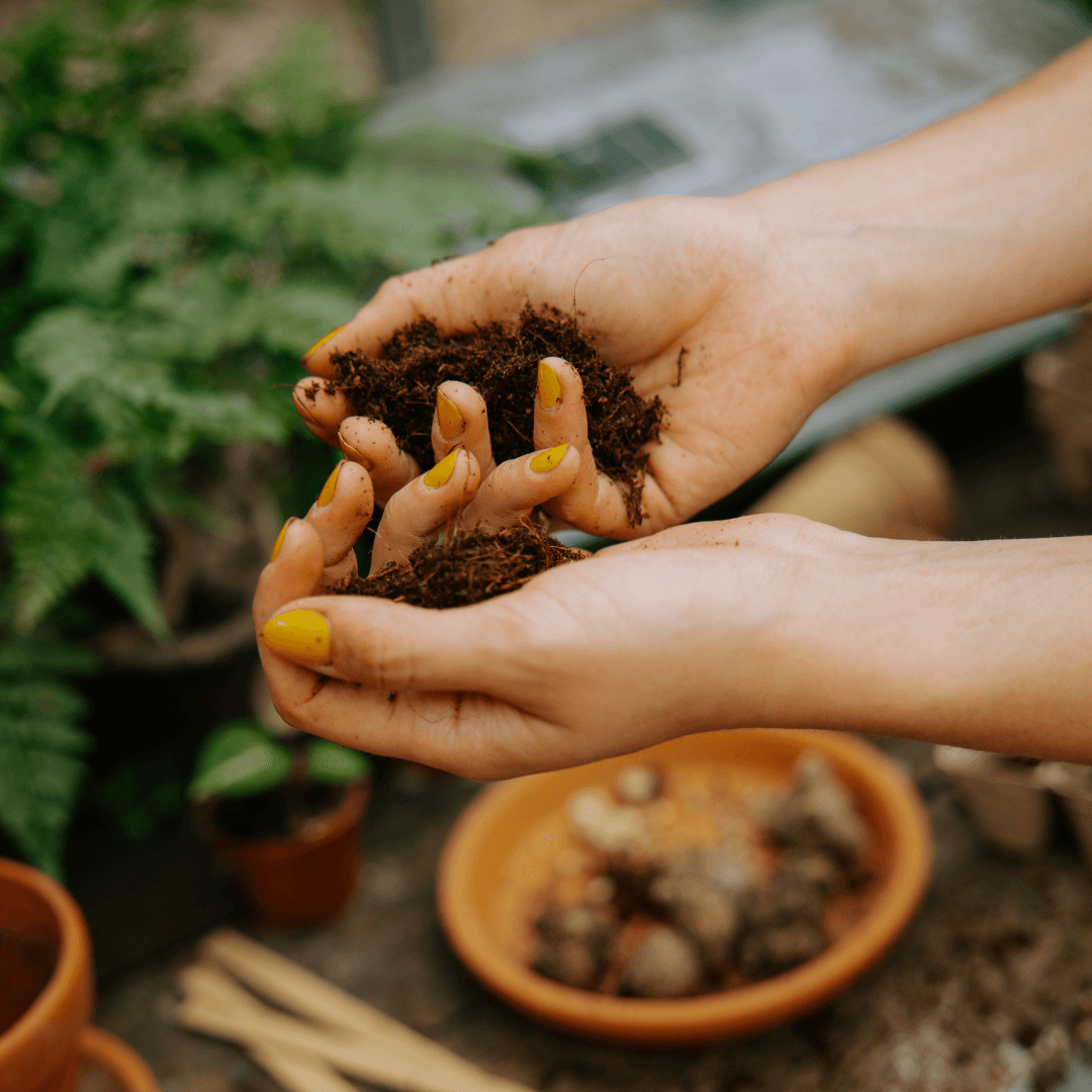 Potting soil & substrates