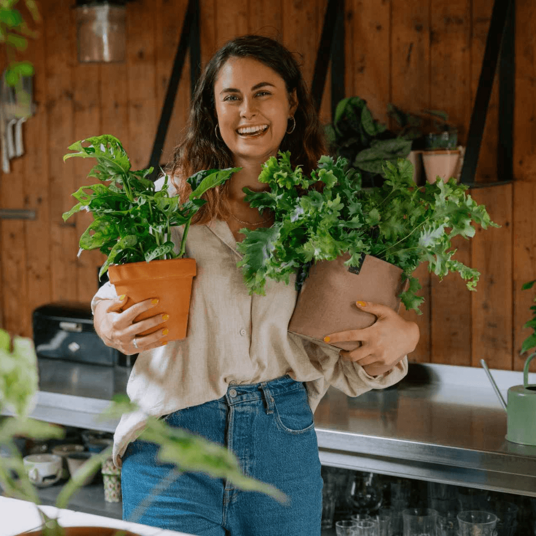 Plant care per family