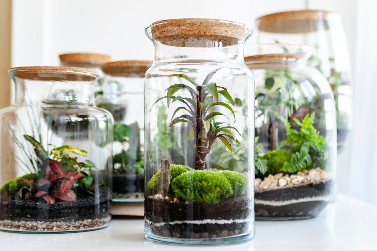 Use this as inspiration to build your own fun little terrariums. in 2024