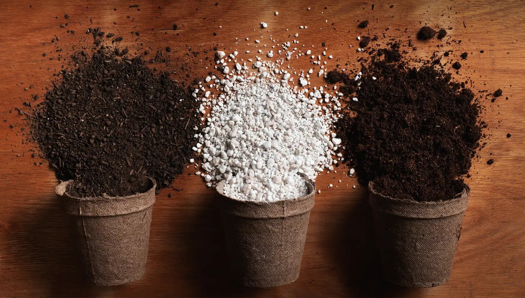 Ingrédients Pour Le Sol Des Plantes En Pot Maison Tourbe Terre Sable Perlite  Vermiculite Noix De Coco Un Mélange Pour Planter Des Plantes Dans Un Pot