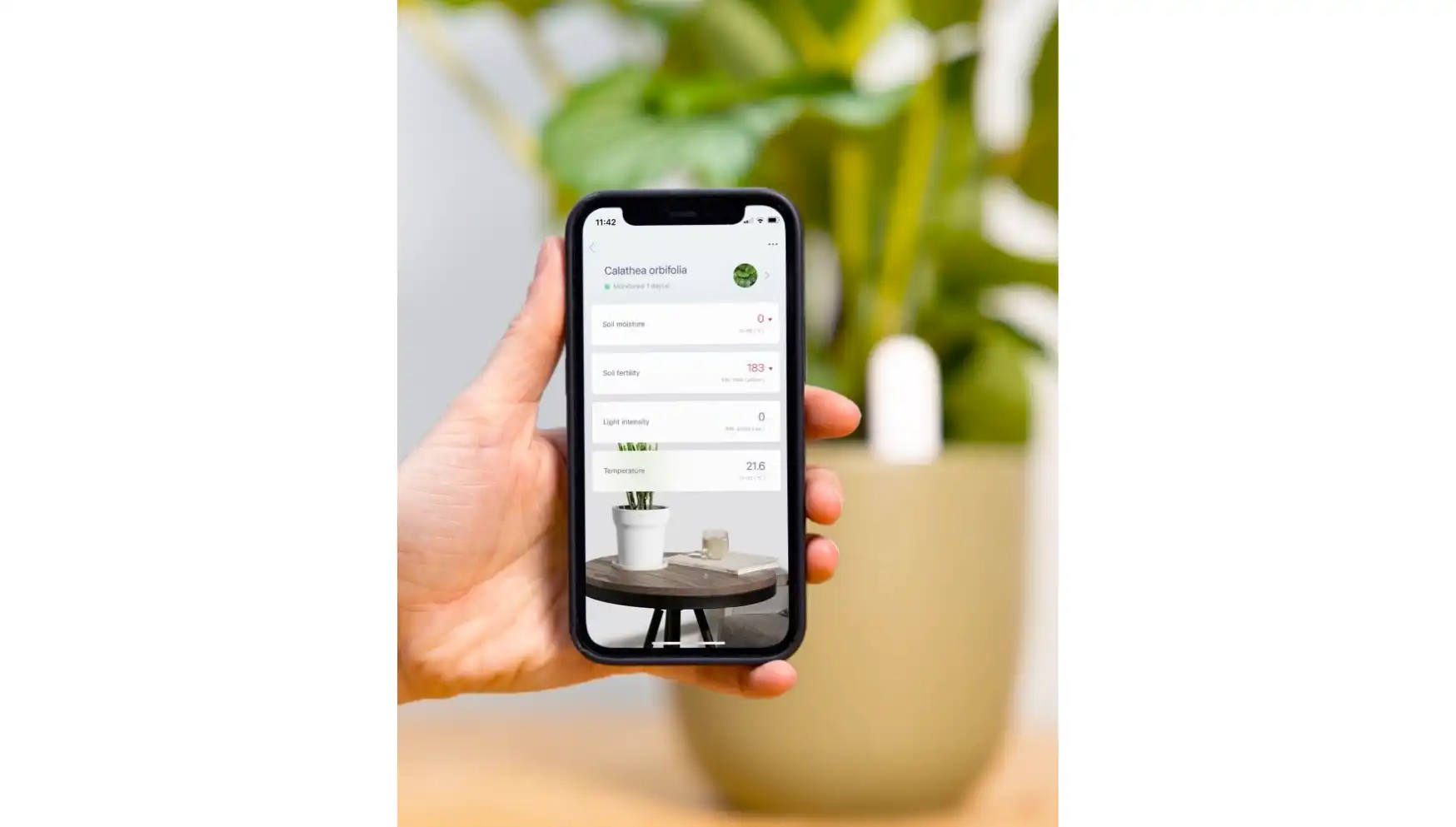 Naomi plant sensor with phone