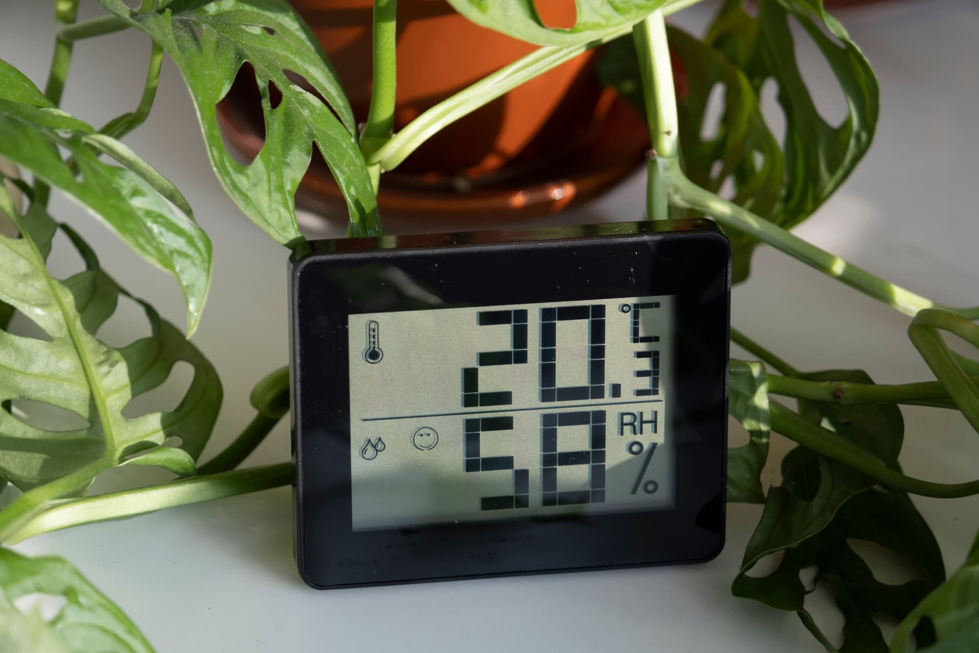 Measurement Humidity Temperature Houseplants Thermometerhygrometer