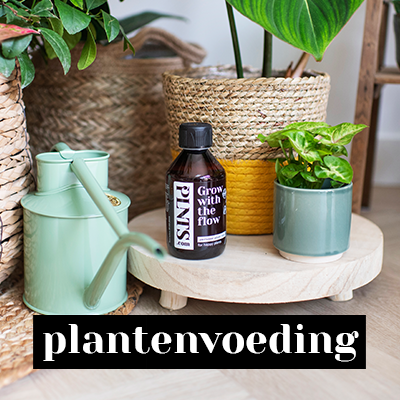 Corporation Berg Vesuvius Van toepassing zijn De beste manieren om je planten te verzorgen | PLNTS.com