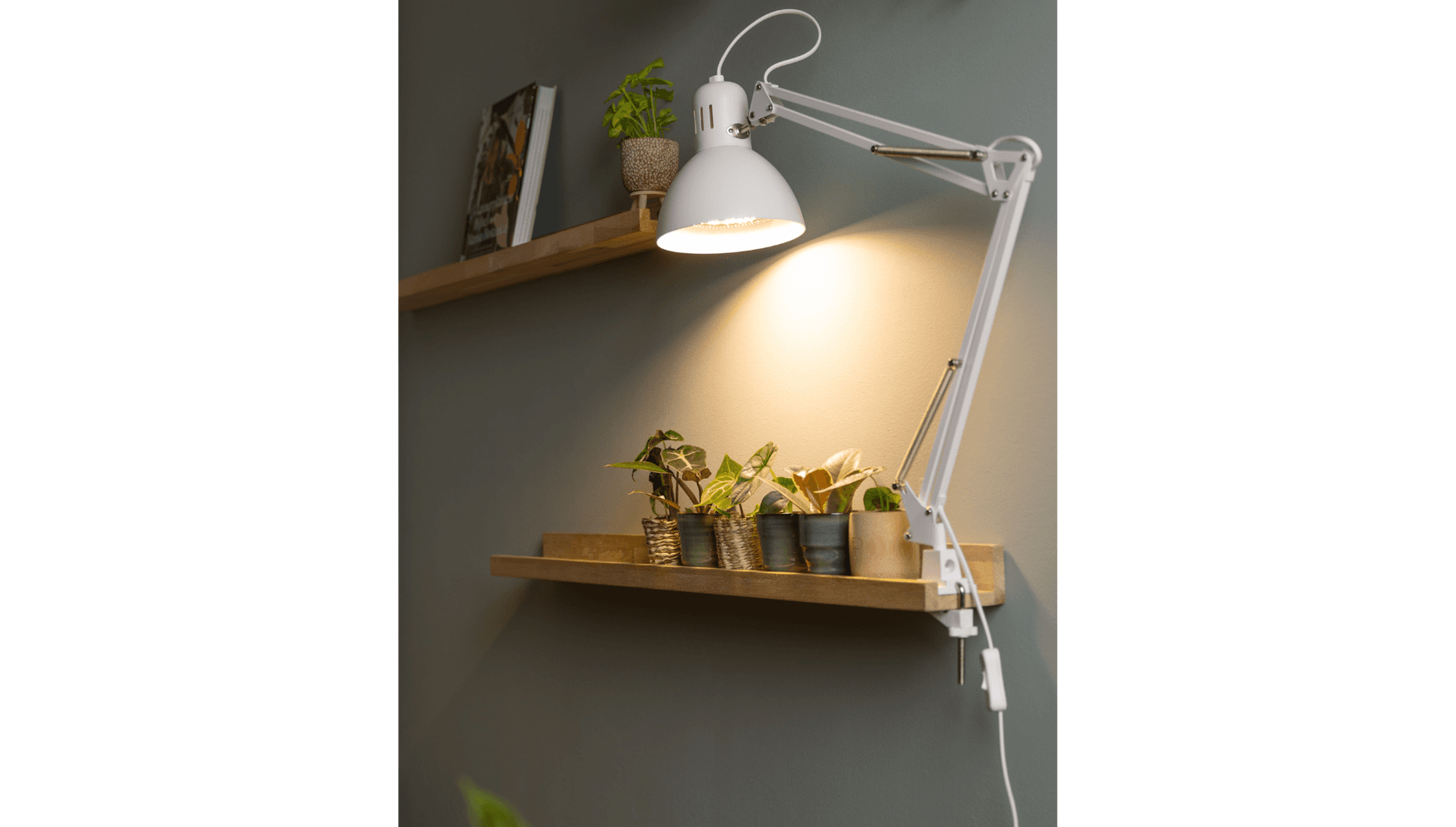 Einfeben - Lampe de Plante 40W, Lampe de Croissance Lampe