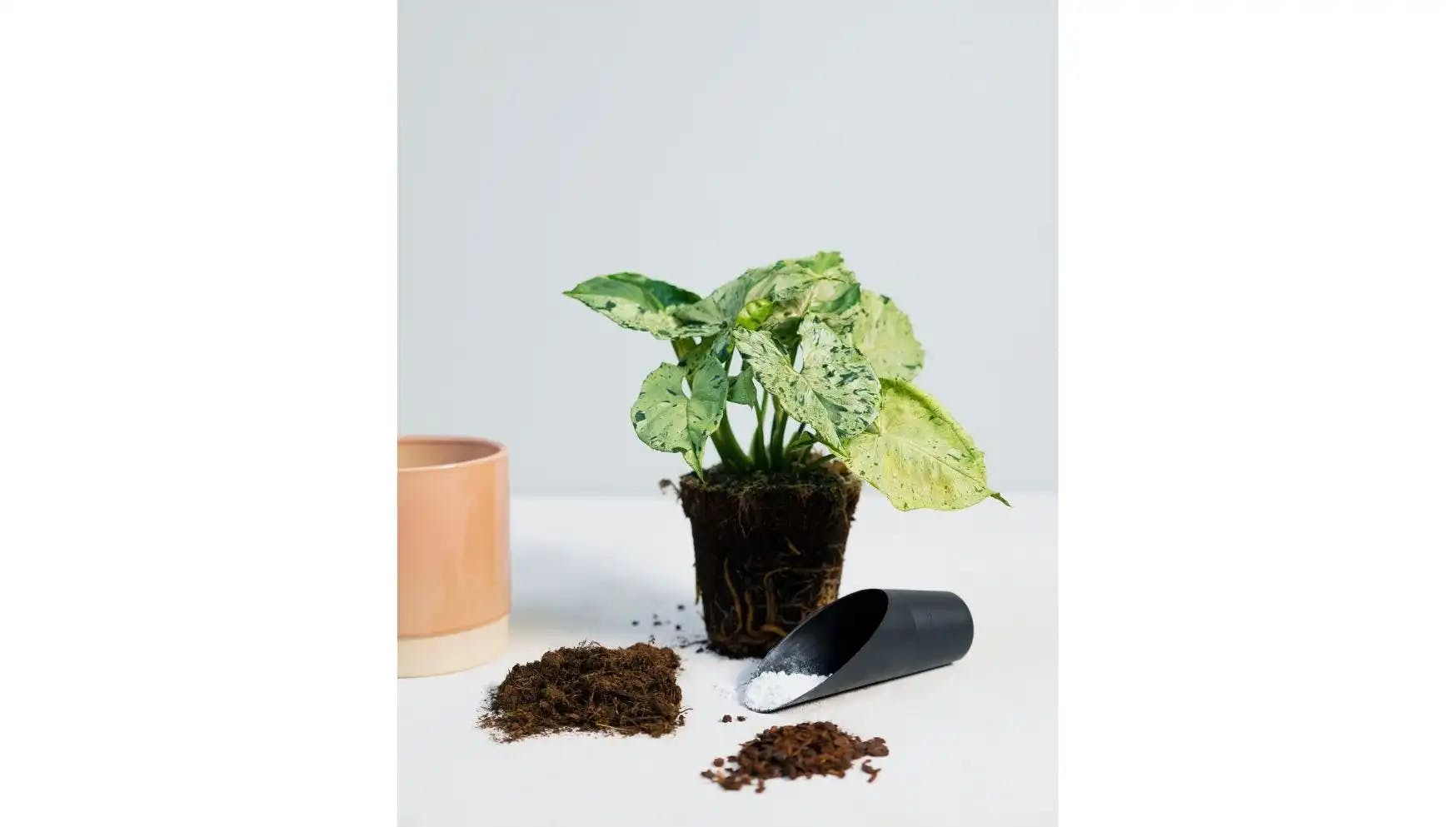 Ingrédients Pour Le Sol Des Plantes En Pot Maison Tourbe Terre Sable  Perlite Vermiculite Noix De Coco Un Mélange Pour Planter Des Plantes Dans  Un Pot