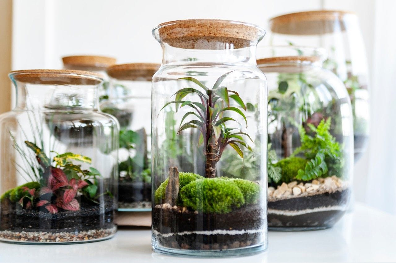 Terrarium-overzicht-1.jpg