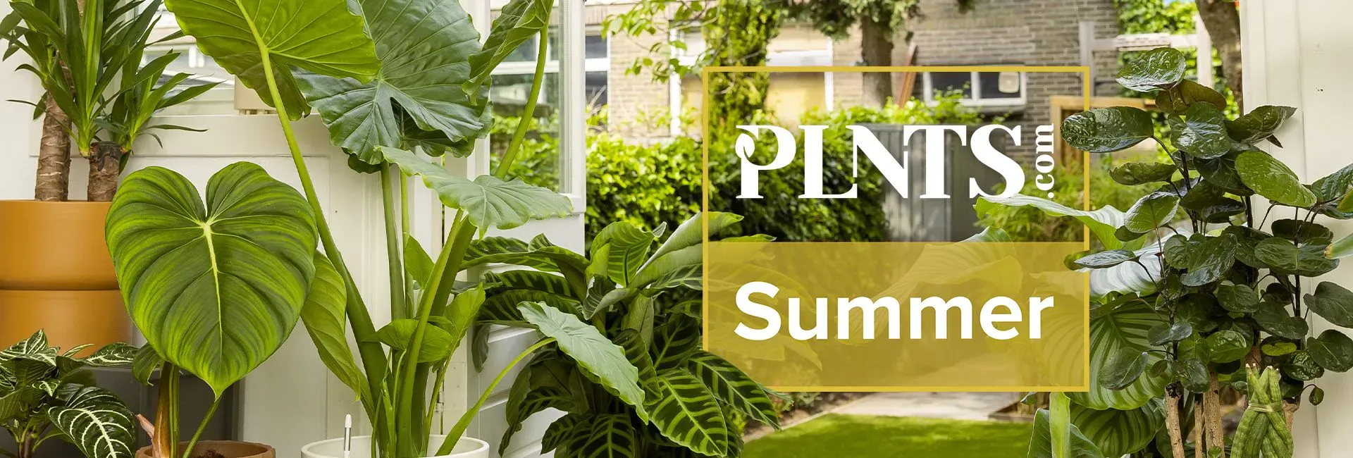 PLNTS Summer homepage banner 1