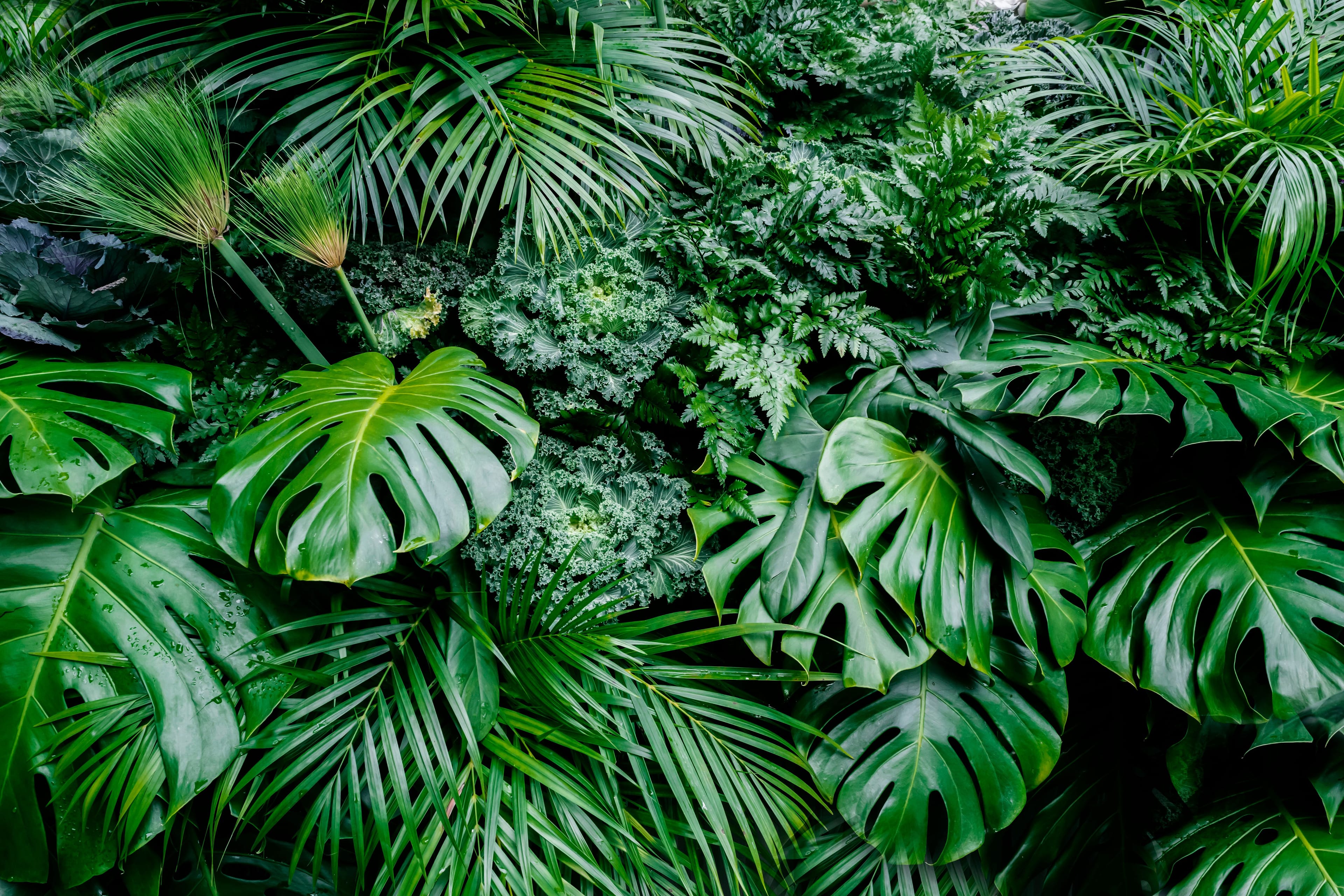 shutterstock_1178996578