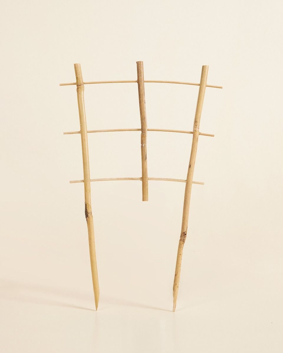 Lily Wooden Rack 