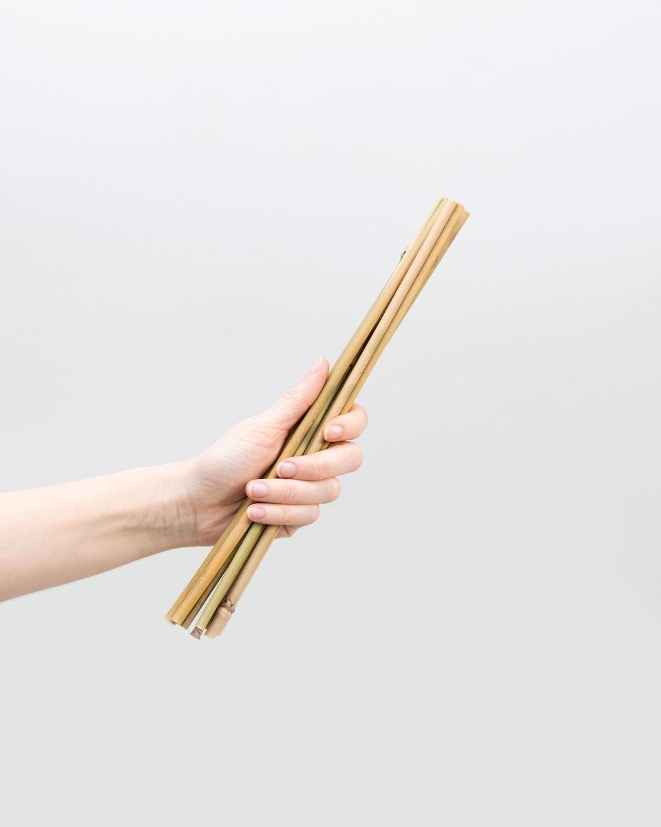 mug Plunderen Miniatuur Bamboe stok 30 cm online kopen | PLNTS.com