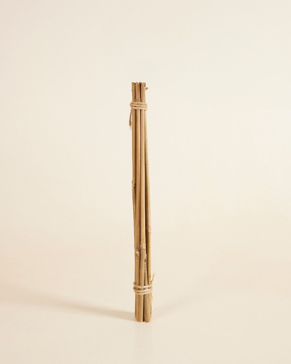 Bâton de bambou 40 cm