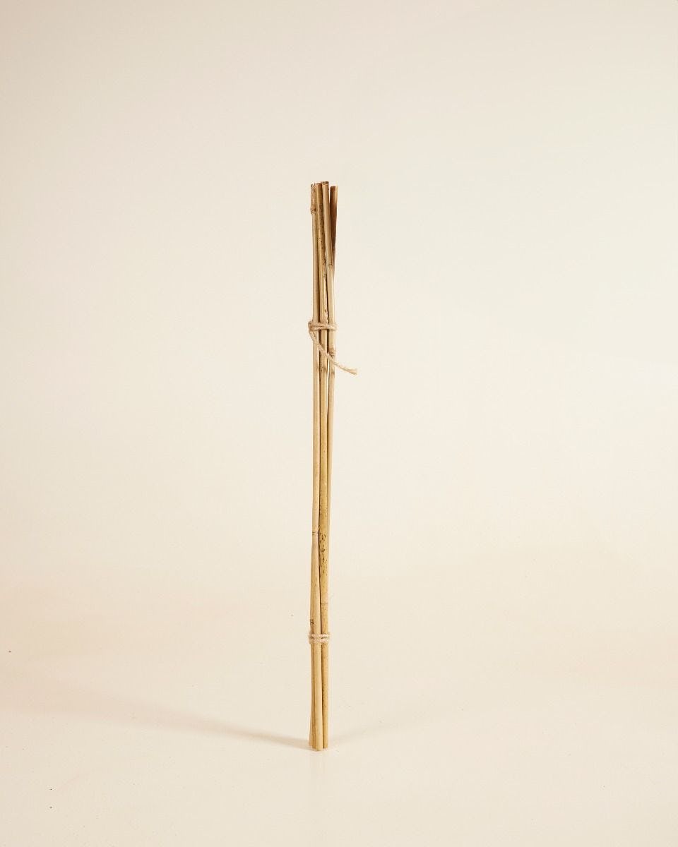 Bamboe stok 50 cm