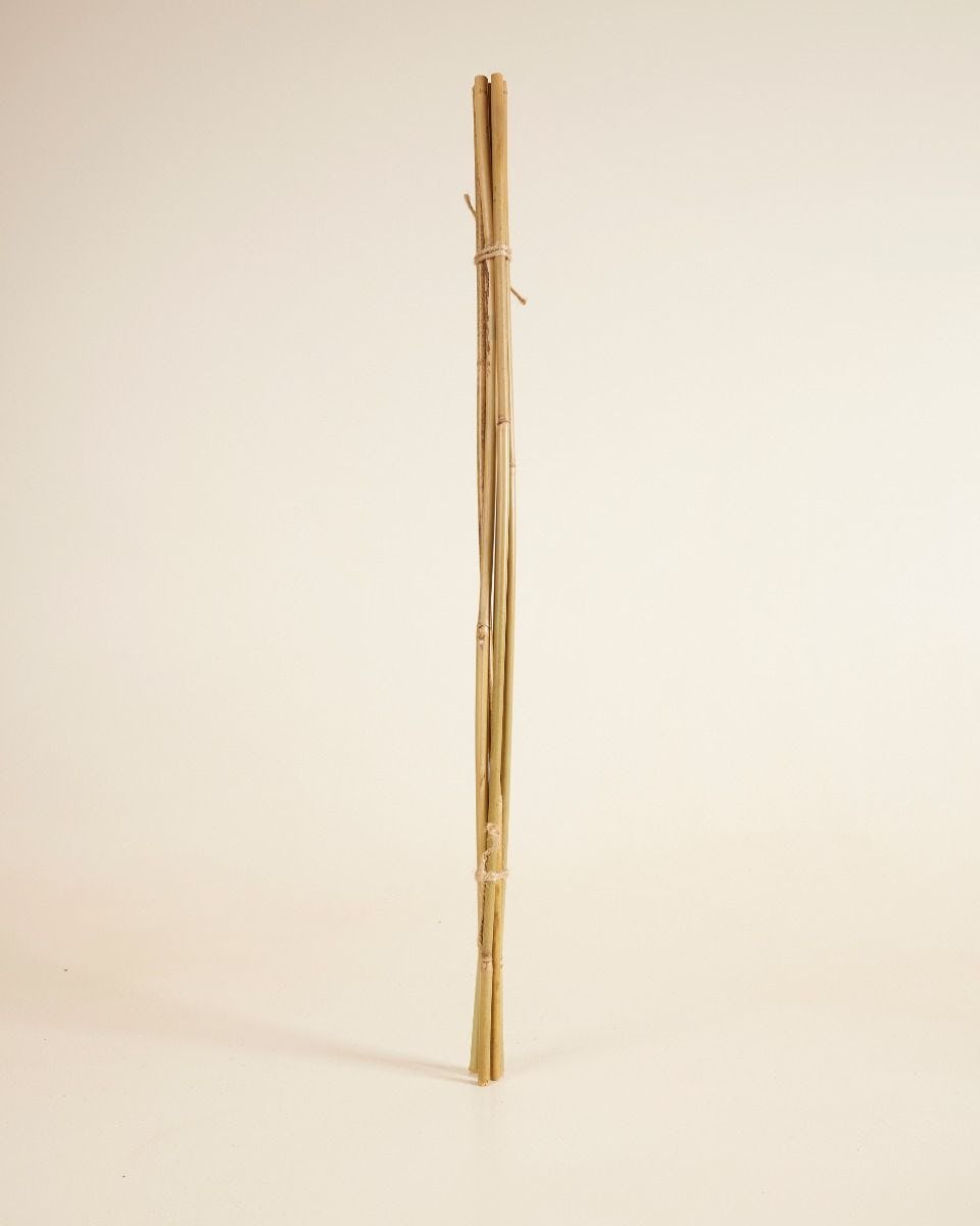 Bamboe stok 70 cm