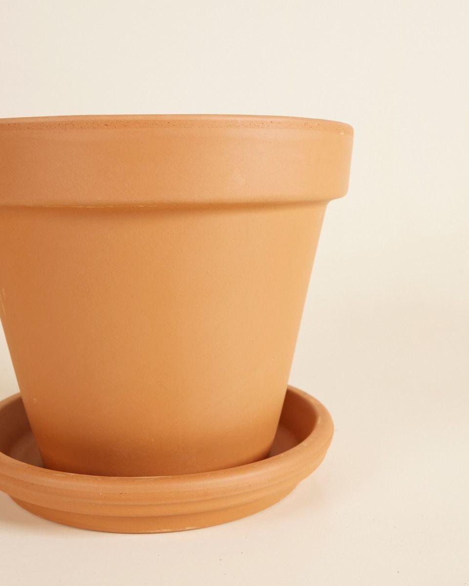 Oranje Terracotta Pot