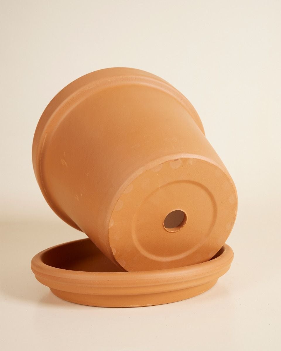 Orange Terracotta Pot