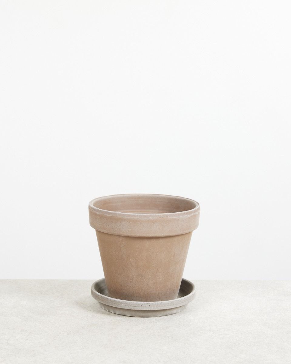 commentaar Woud bekken Grijze Terracotta Pot online kopen | PLNTS.com