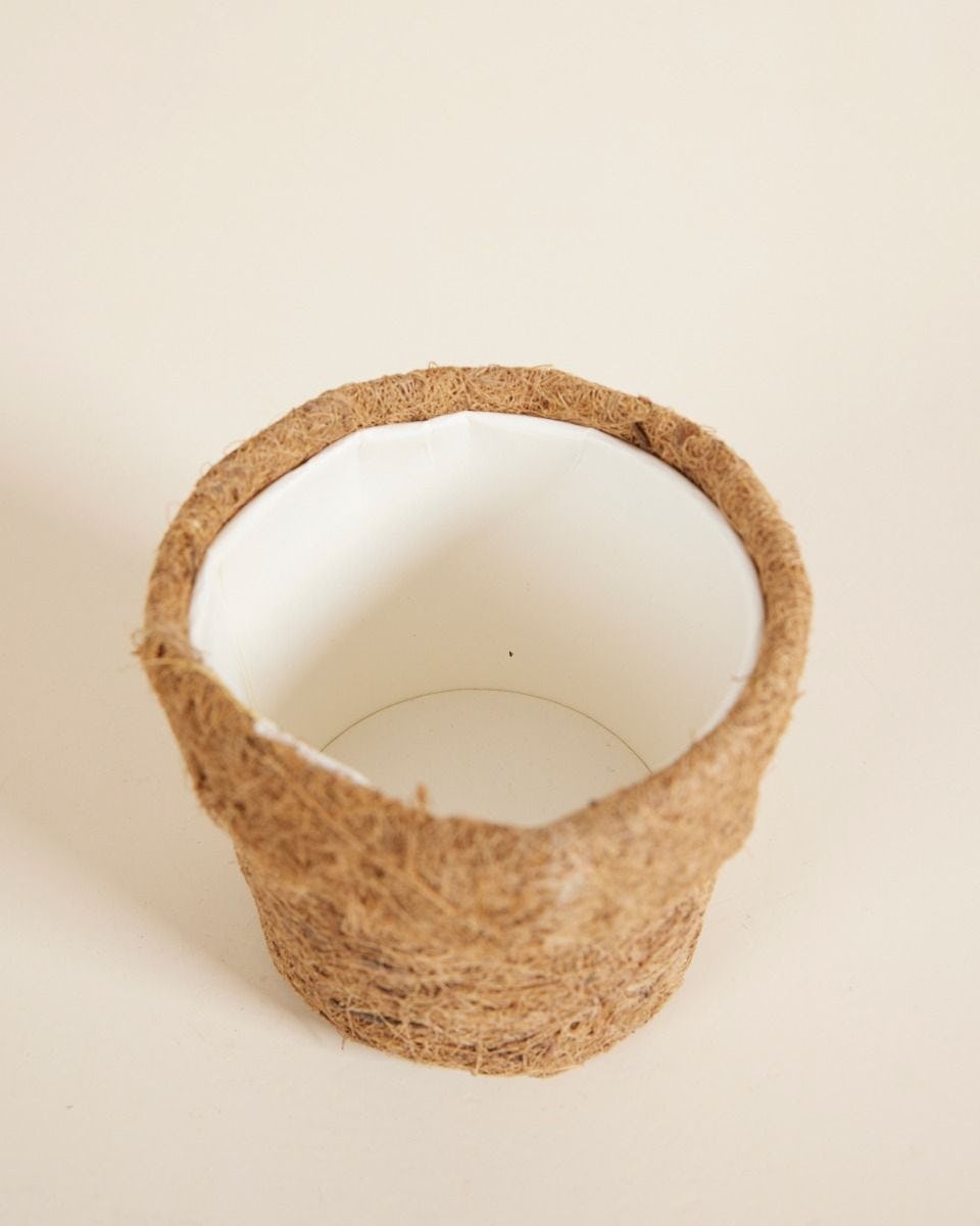 Ada Kokedama Pot Coconut Fibres