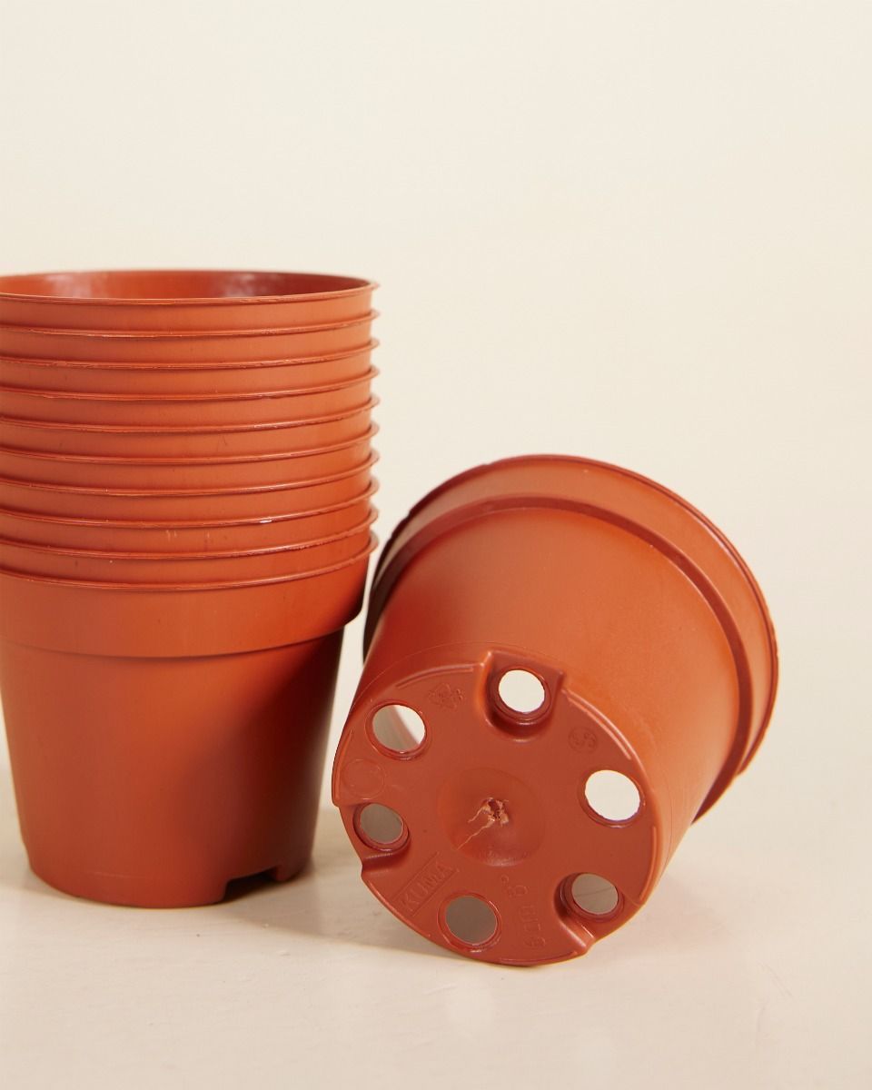 Set of 10 Nursery Planters Ø 6 cm