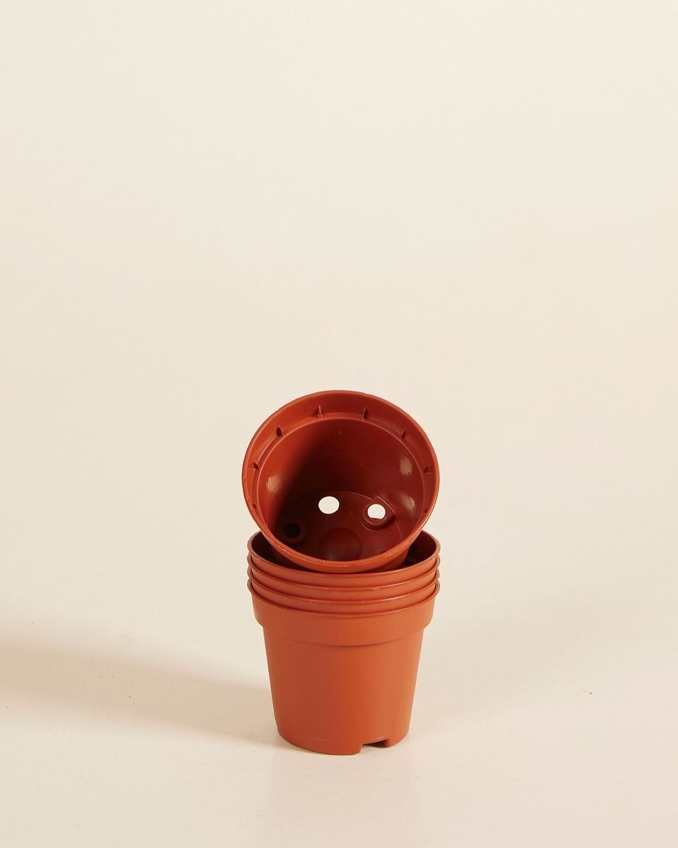 Set of 5 Nursery Planters Ø 6 cm