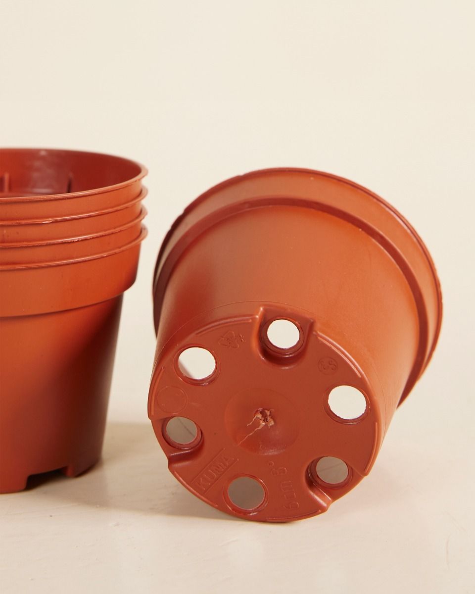 Set of 5 Nursery Planters Ø 6 cm