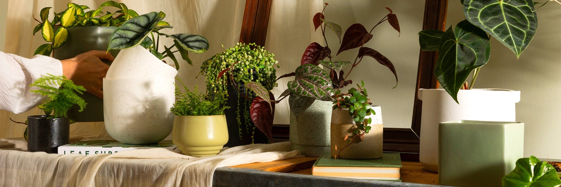 House Doctor - Terra Pot à plantes