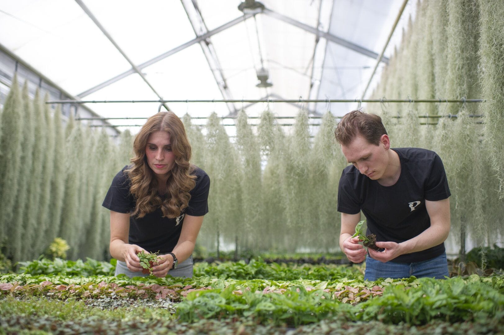 Picking plants