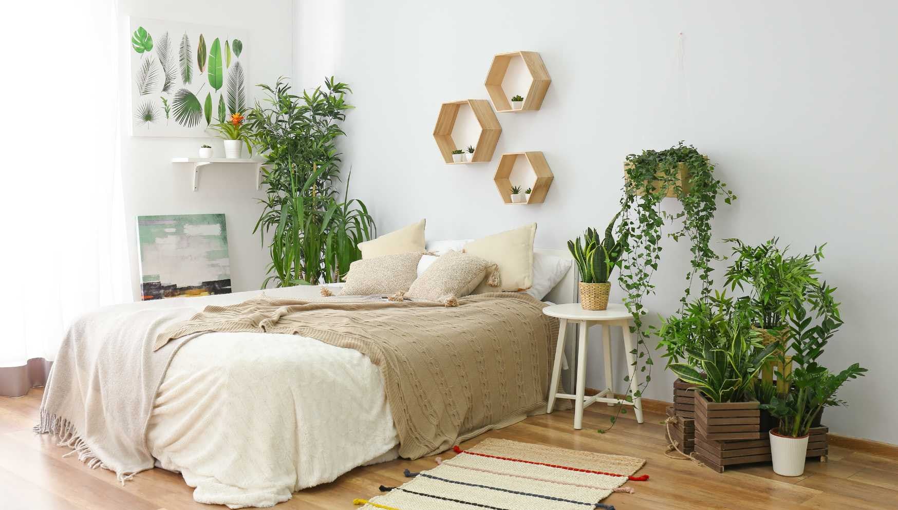 Air-purifying plants bedroom