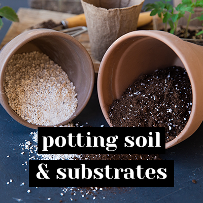 Potting soil & Substrates