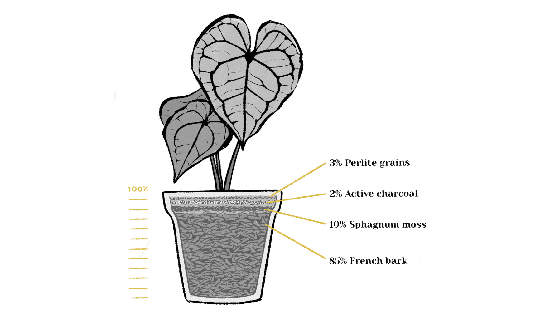 Epifyten potting mix %