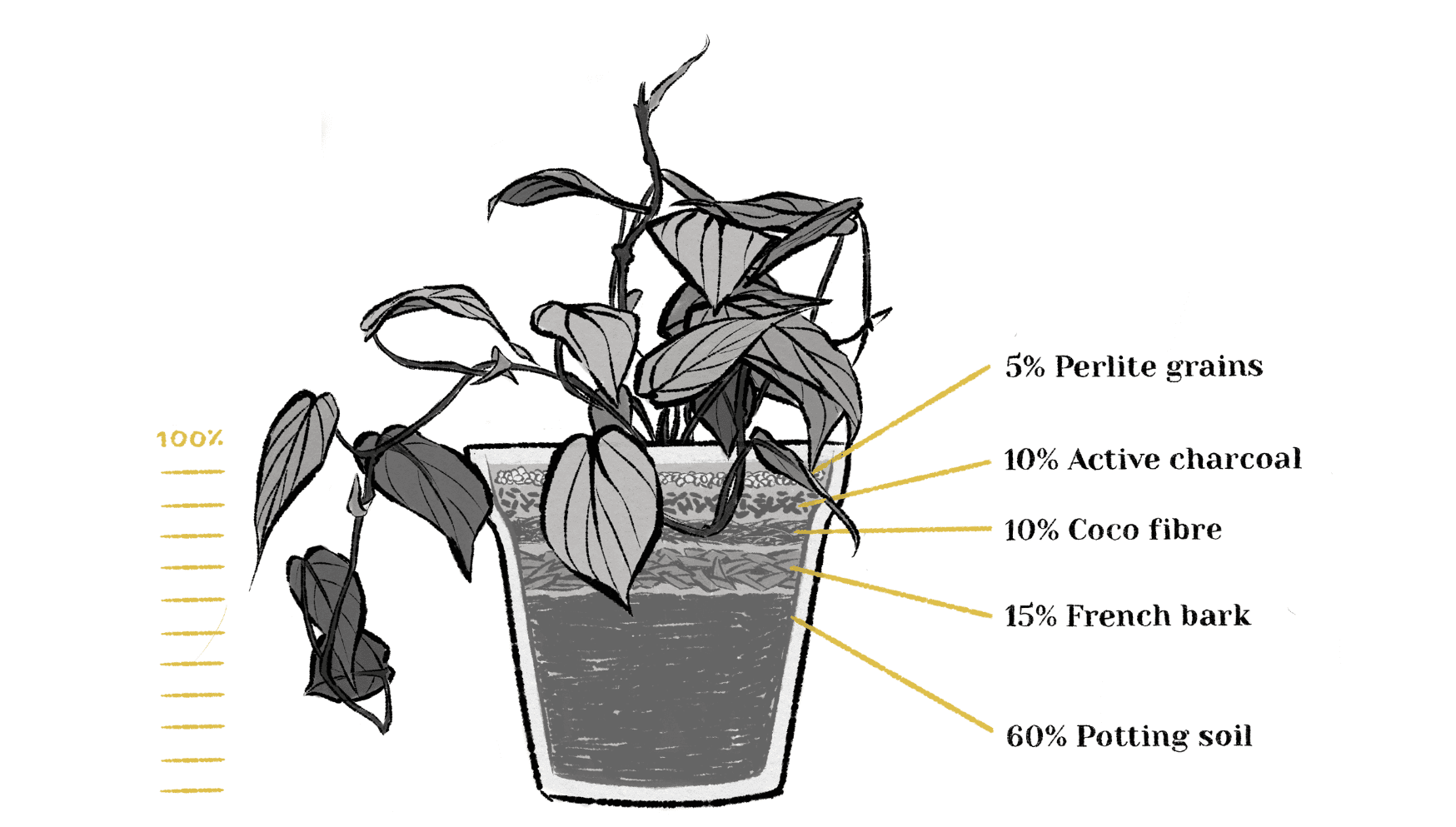 Aroid potting mix %