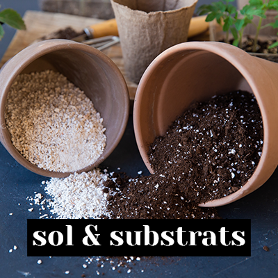 sol & substrats