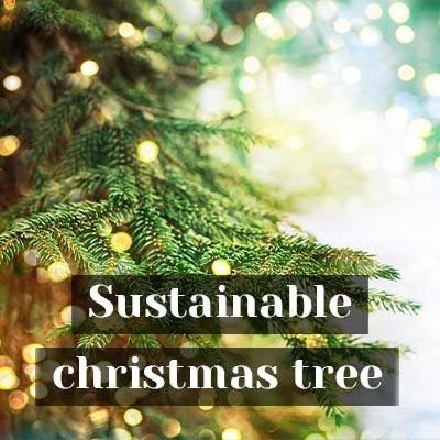 Sustainable Christmas tree