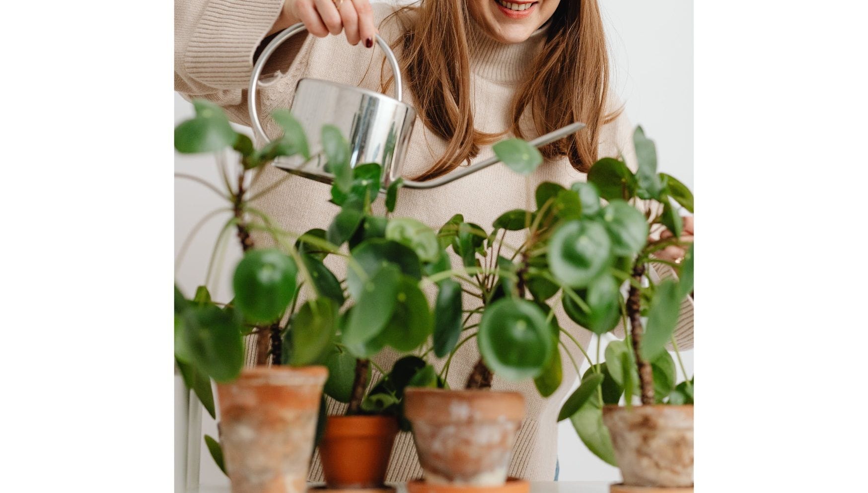 Sustainable tips for watering your plants