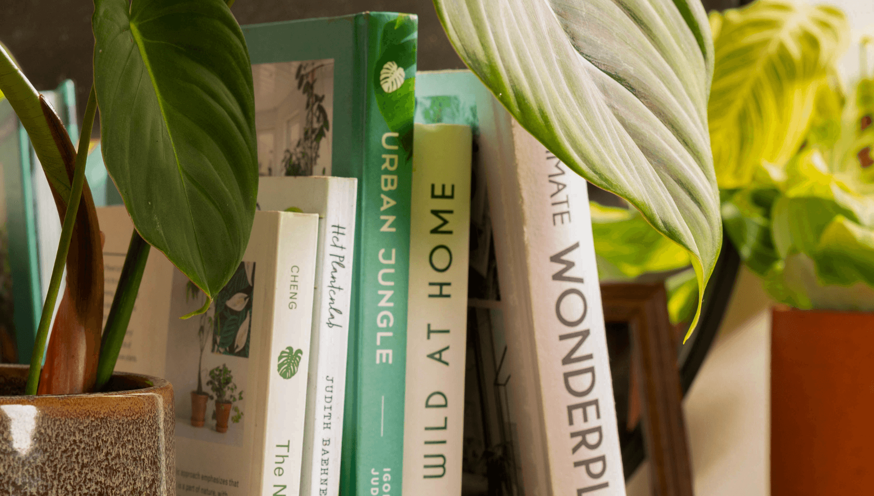 Top 3 plant books - banner