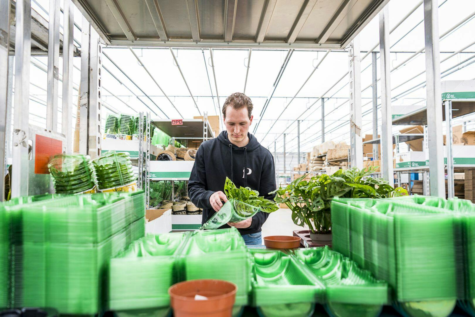 Packing plants