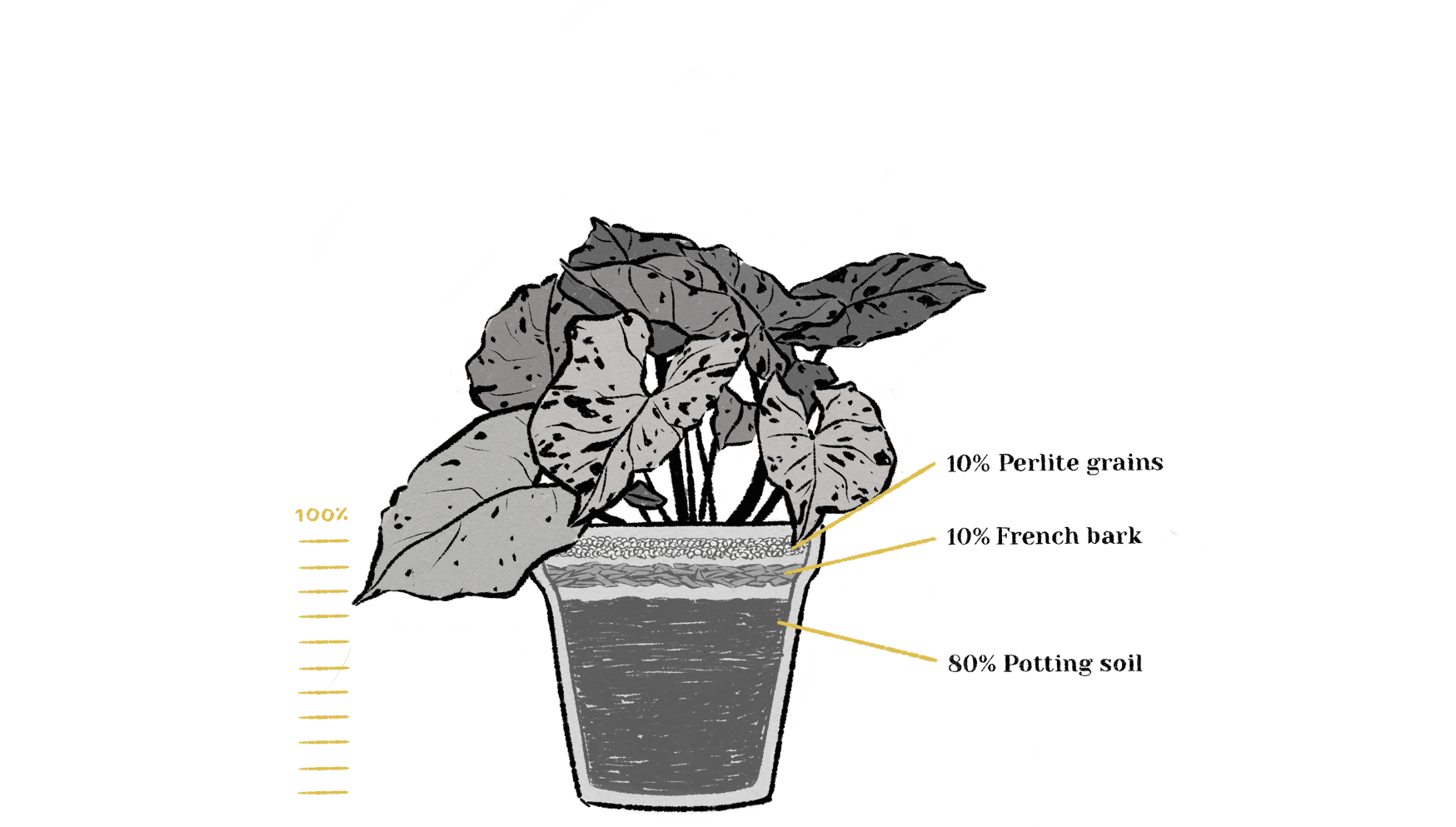 Repotting mix %