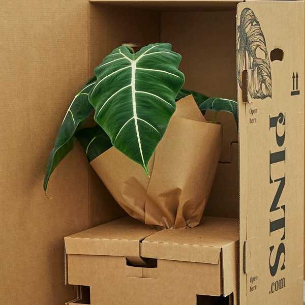 Sustainable packing