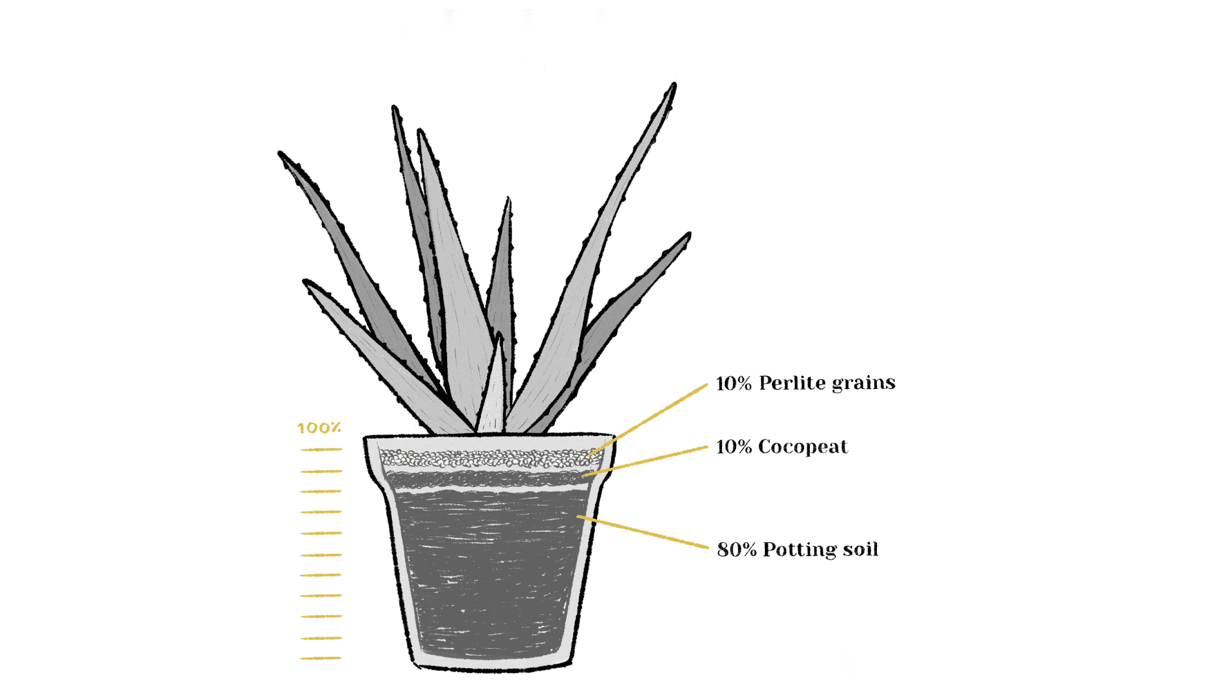 Succulent potting mix %