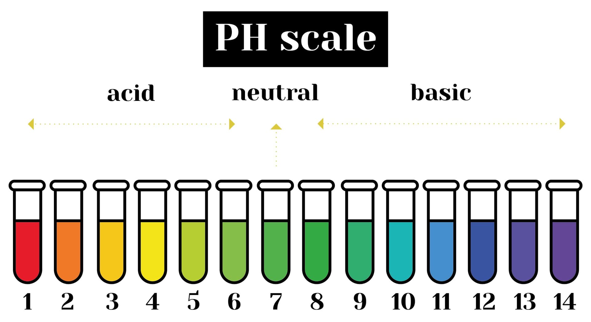 PH scale-01.jpg