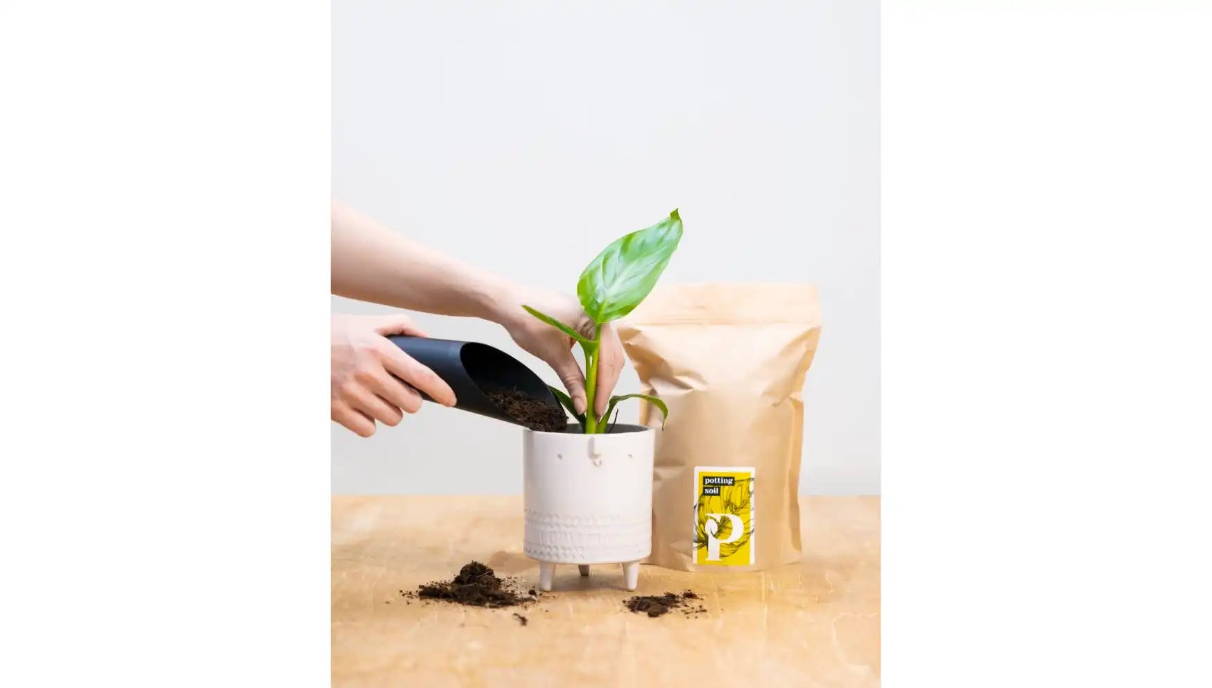 Potting shovel with plant