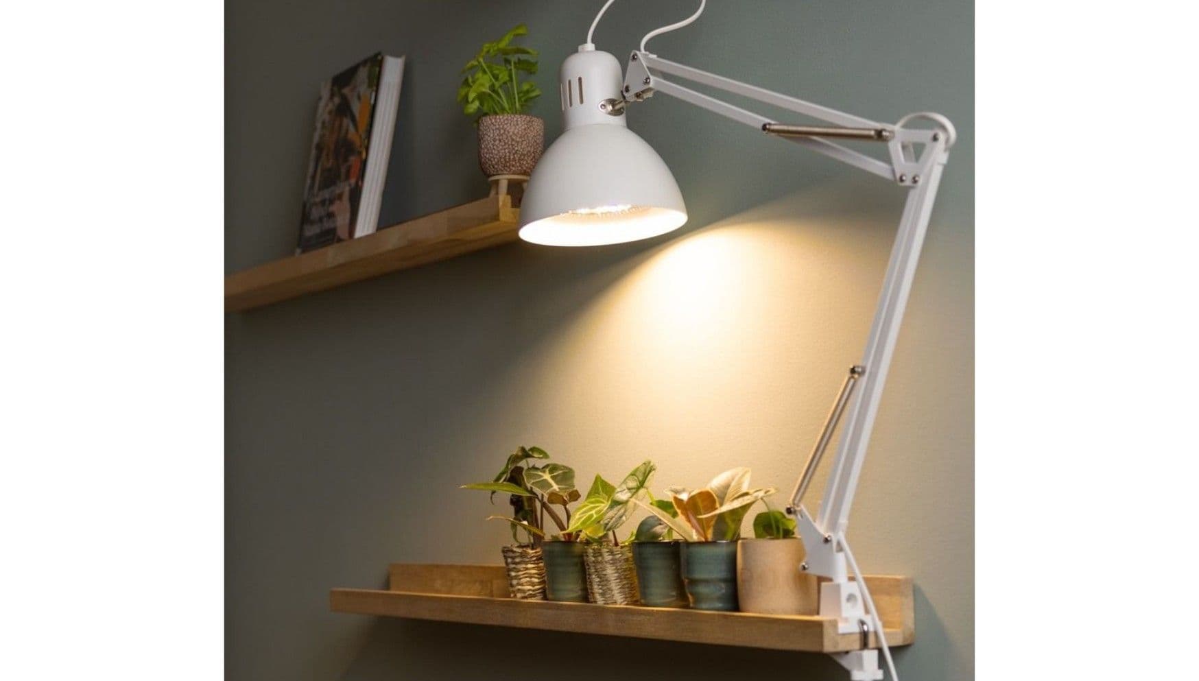 grow light lamp c.jpg