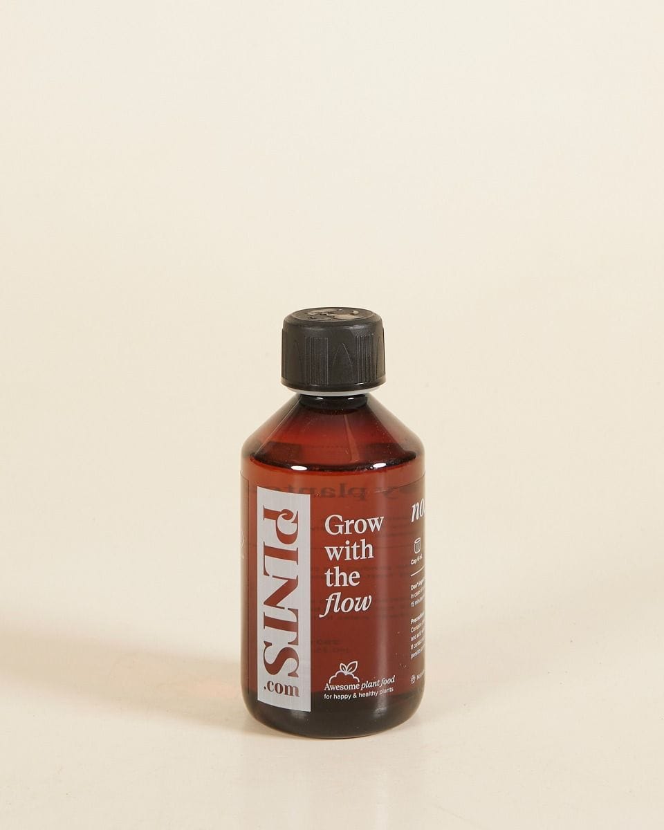 PLNTS Nutrition 250 ml