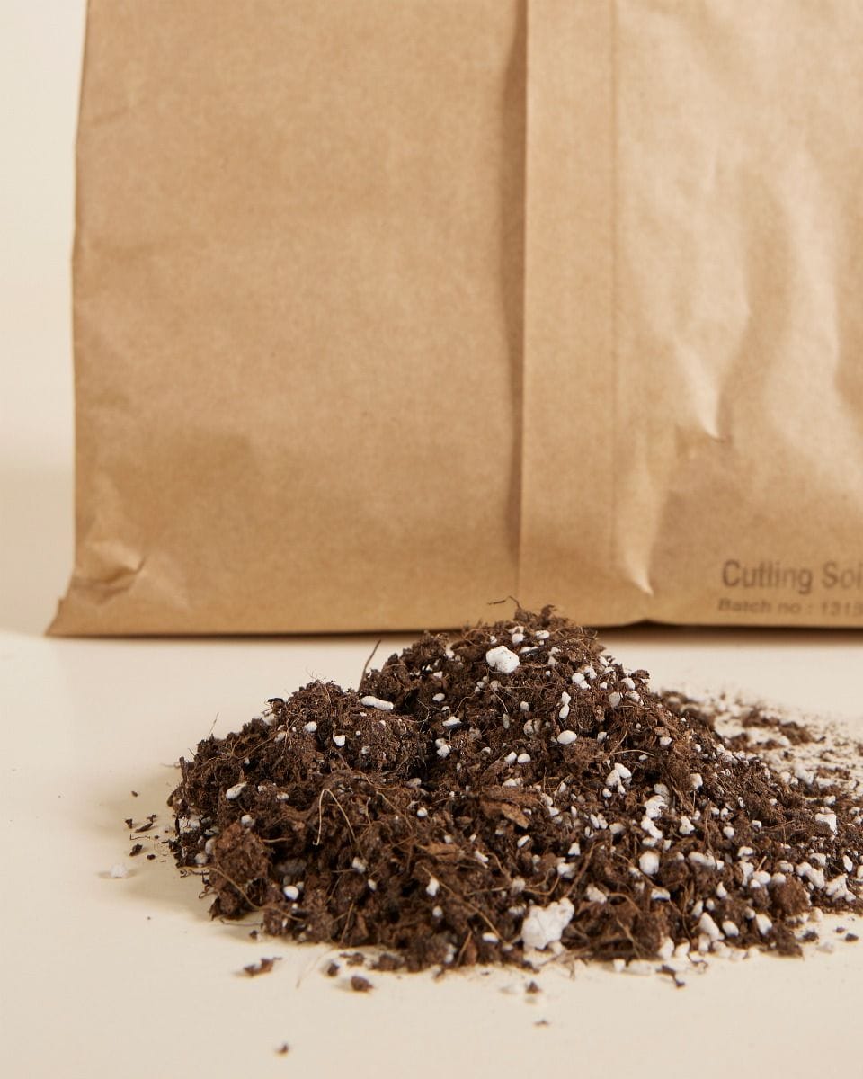 Cutting Soil 1 litro