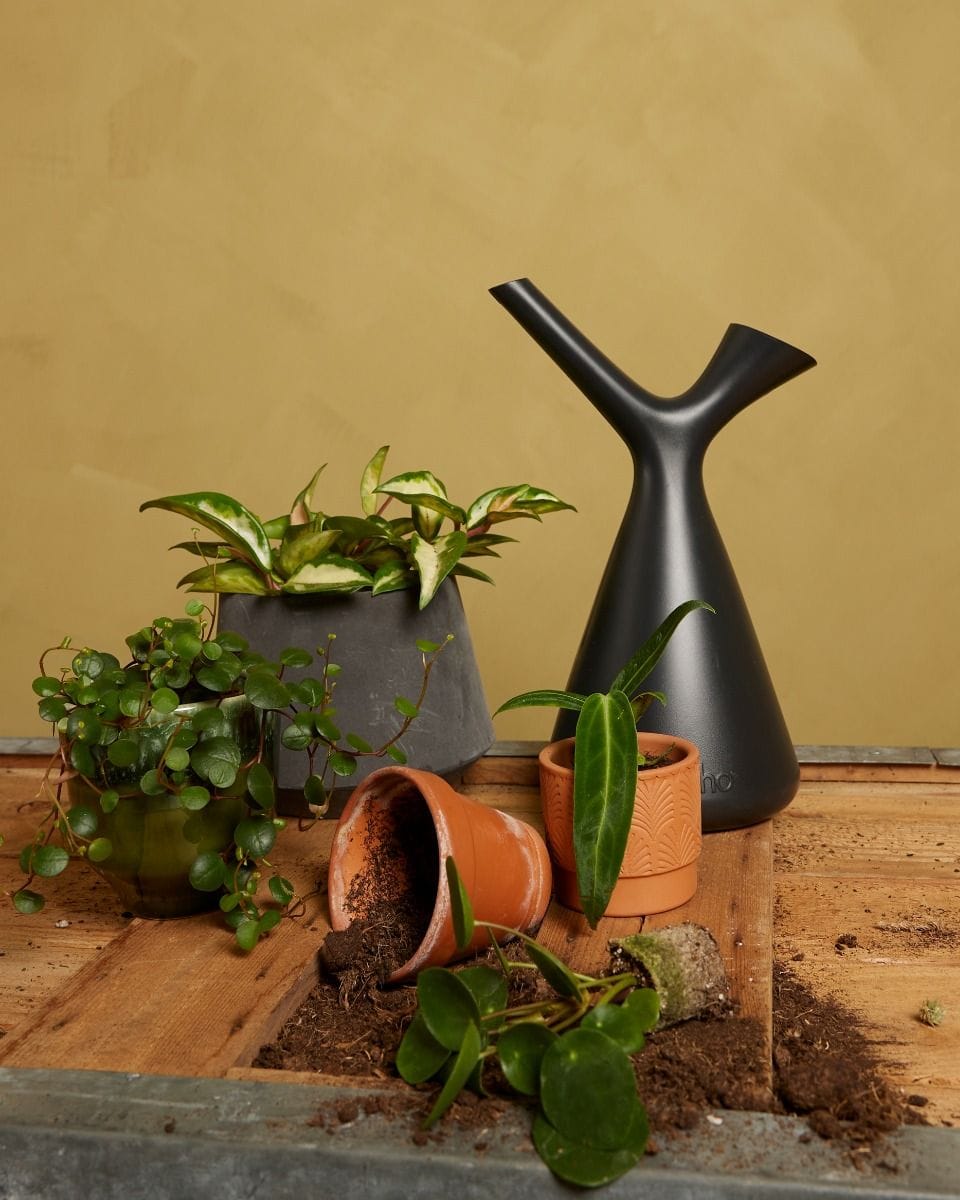 Elho Plunge Watering Can Black 1.7 l