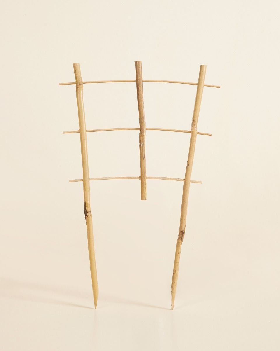Support en Bois Lily 30 cm
